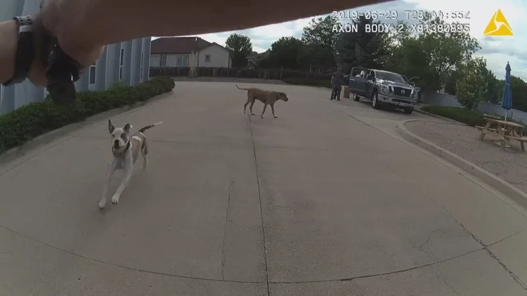Loveland agrees to $675,000 settlement in shooting of...