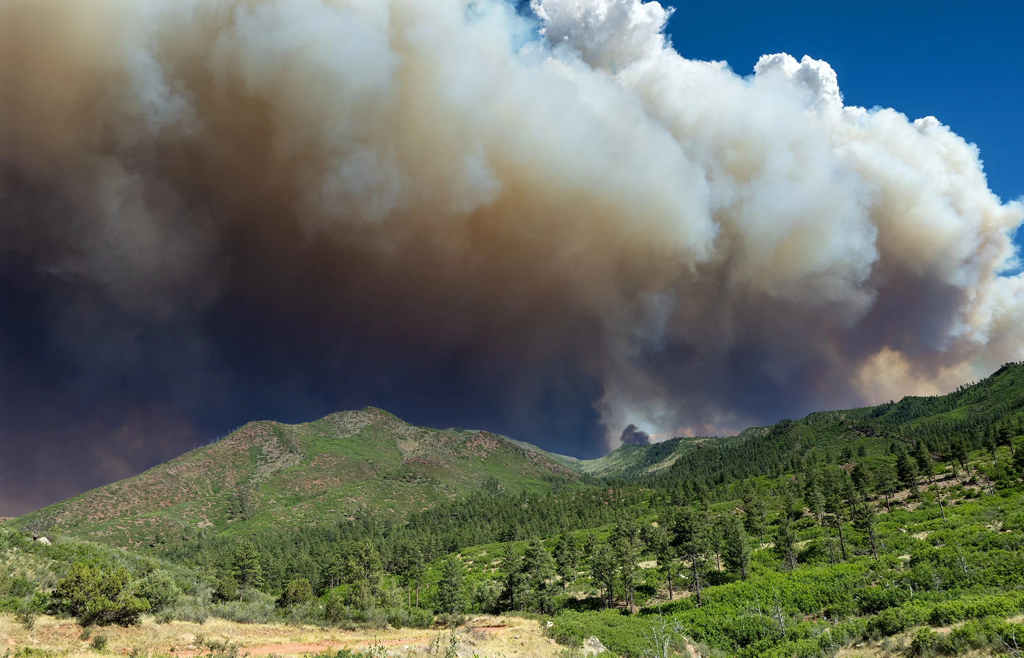 “This has become a national fight”: More resources...