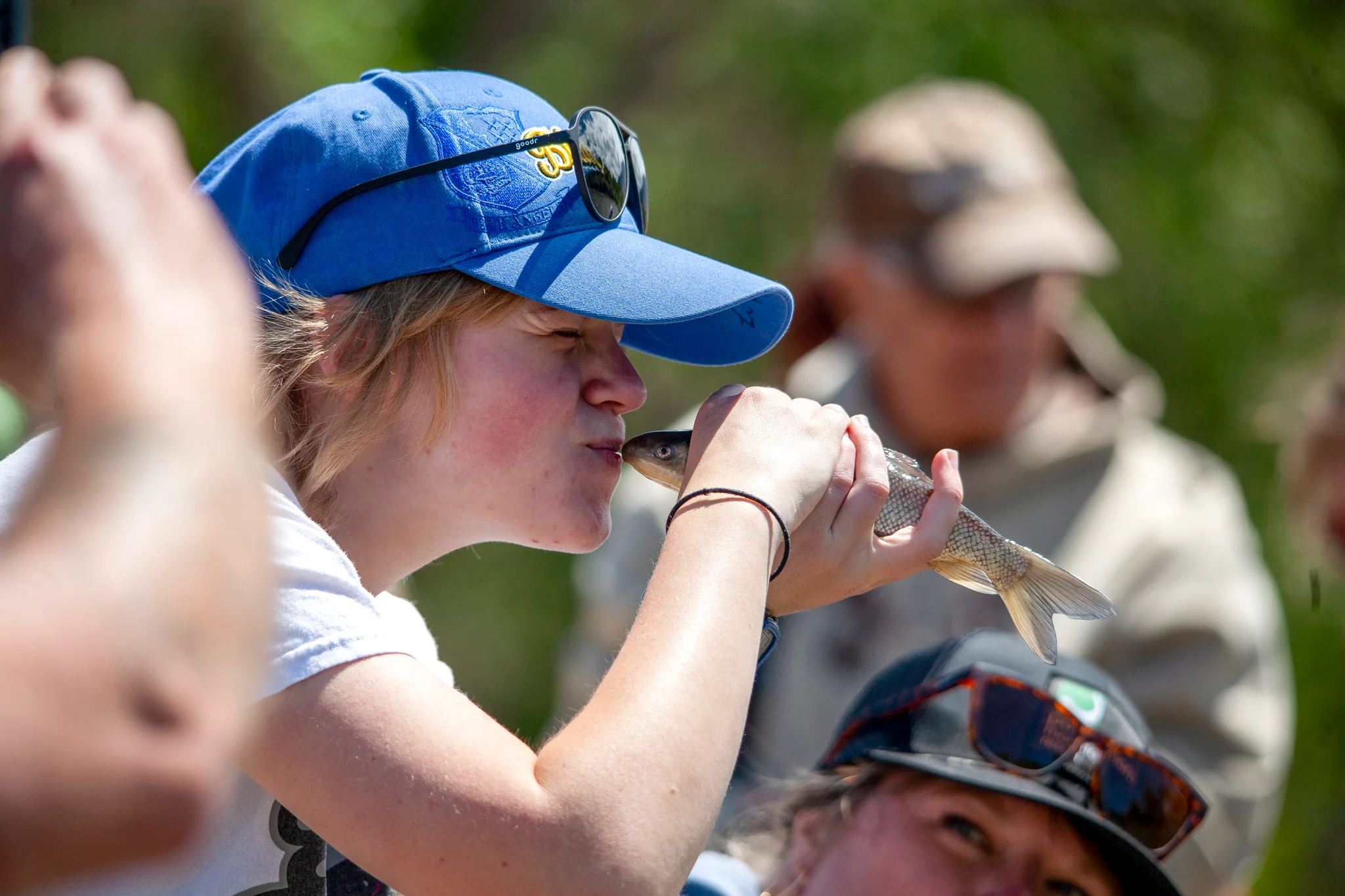 An endangered fish needed saving. The feds, high...