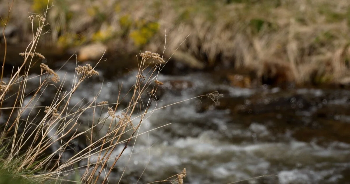 'We will always have to manage it': How drought is...