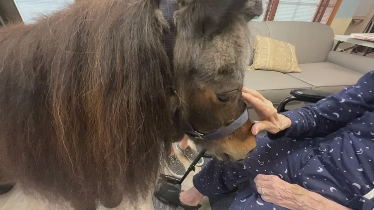 Horsin' around with Good News