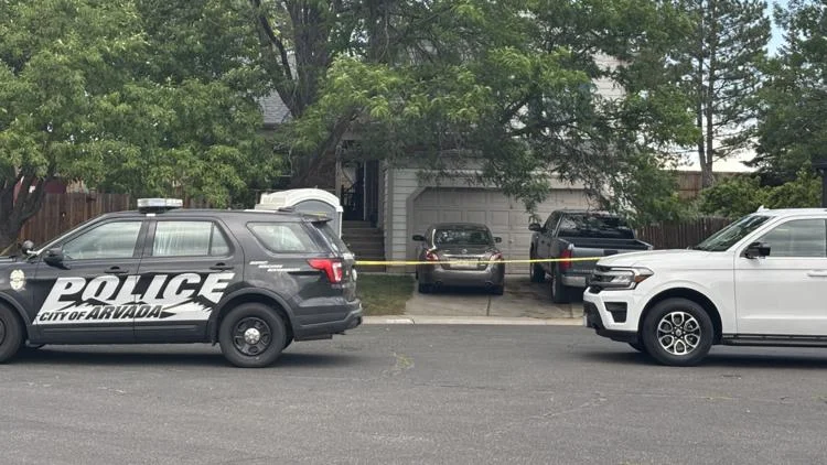 Man taken into custody after allegedly stabbing his...
