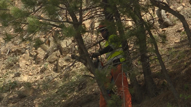 CDOT ramps up fire mitigation work along Colorado...
