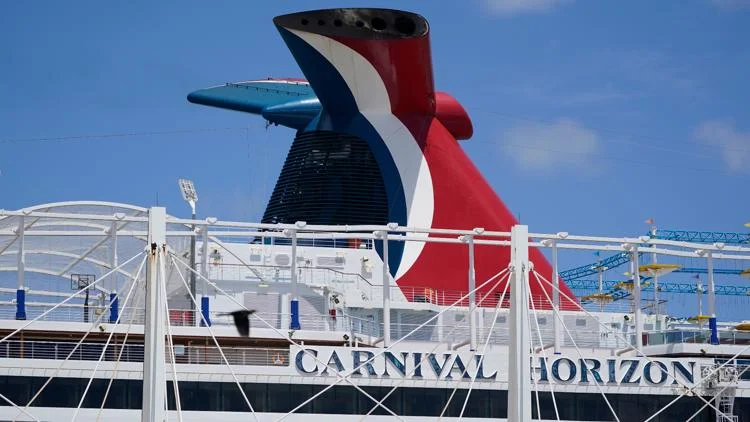 Teen charged with killing stepsister on Carnival Cruise...