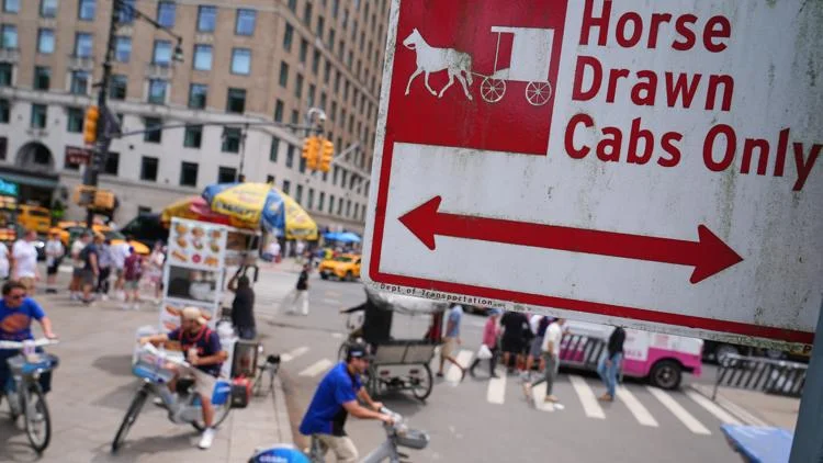 New York mayor, other leaders push to ban horse-drawn...