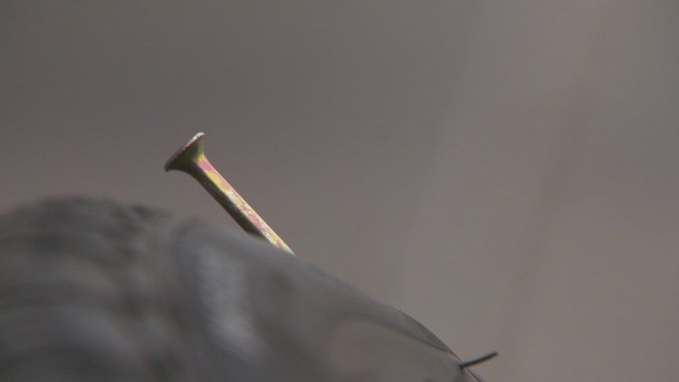 article
