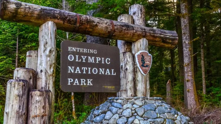 Human remains found in Olympic National Park identified...