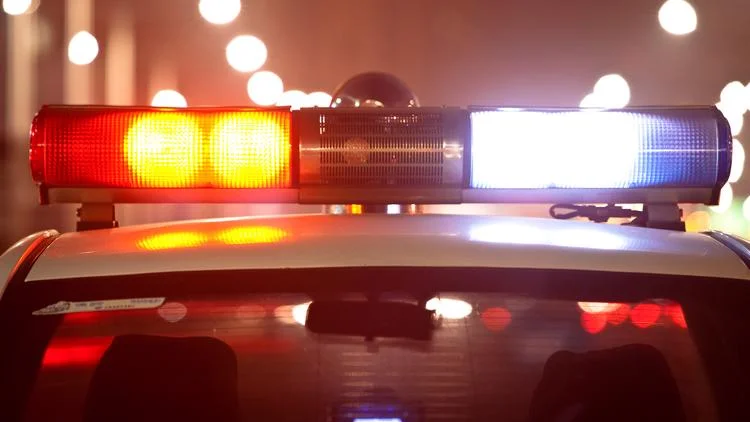 Georgia man had fatal heart attack while trying to...
