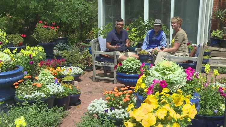 Proctor's Garden Tour: Explore an expert garden in Denver