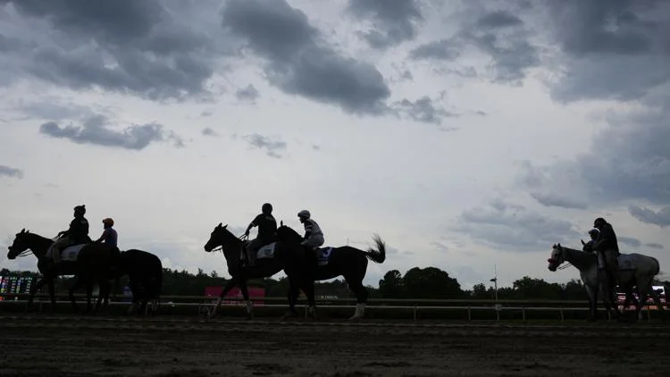 17 racehorses killed in Saratoga Springs barn fire