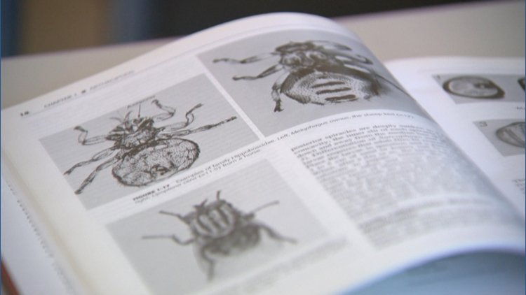 article