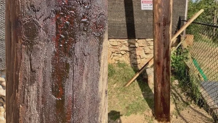 Animal sanctuary owner believes utility poles are...